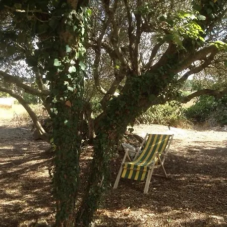 Masseria Del Fico In Valle D 'itria Holiday home Martina Franca