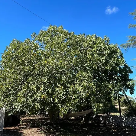 Masseria Del Fico In Valle D 'itria *